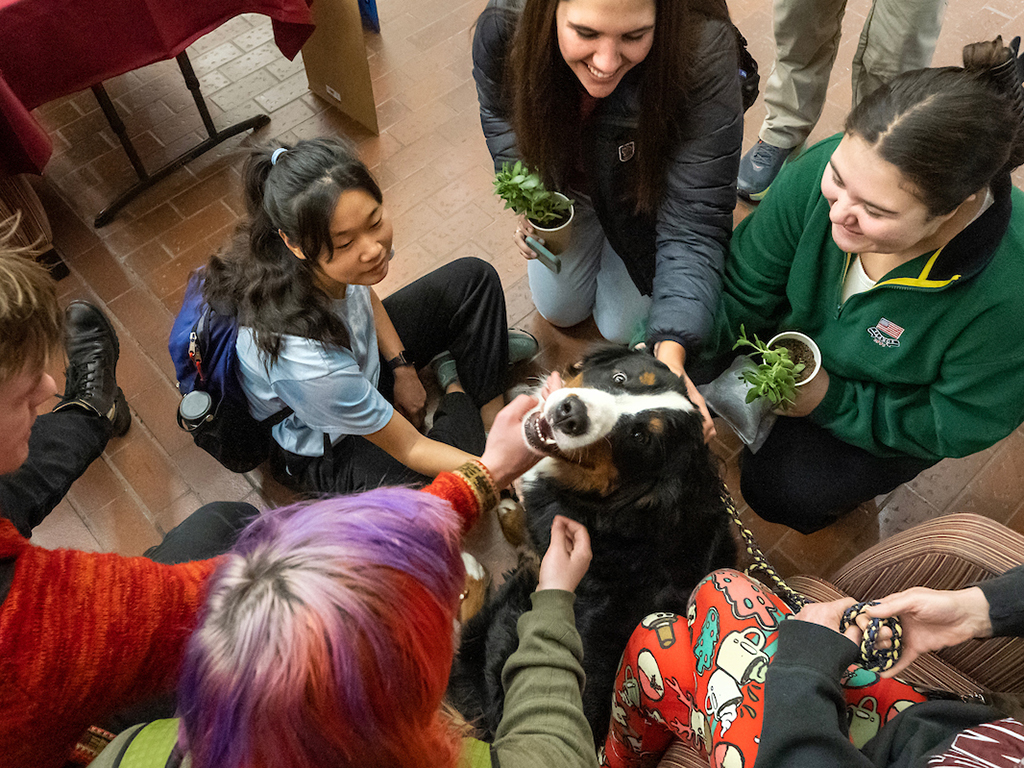 Students pet a dog during a Stress Less event in the UC.